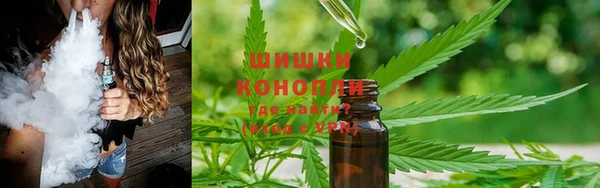 гашик Зеленодольск